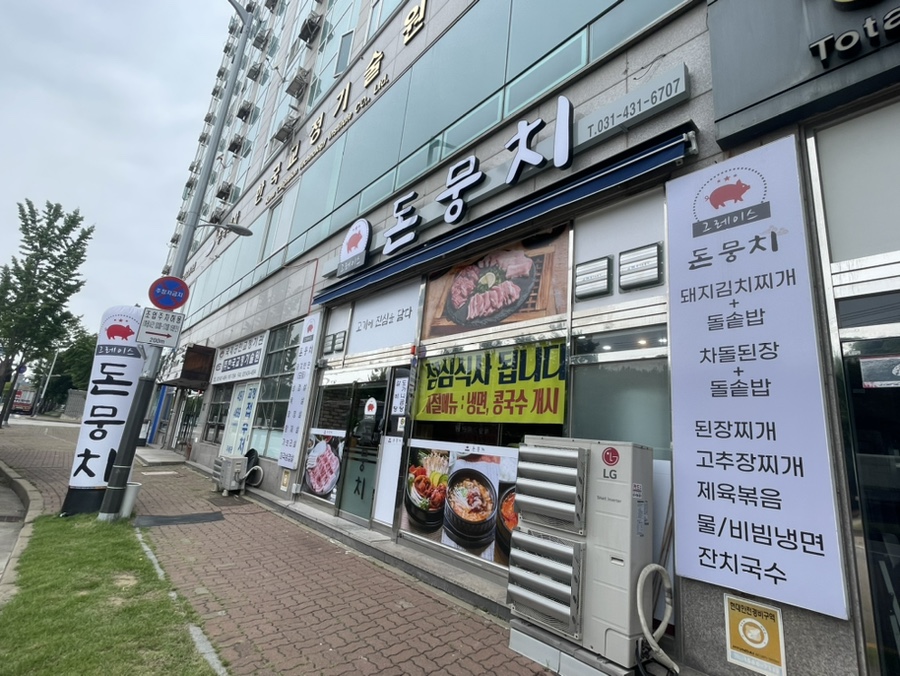 그레이스돈뭉치 이미지