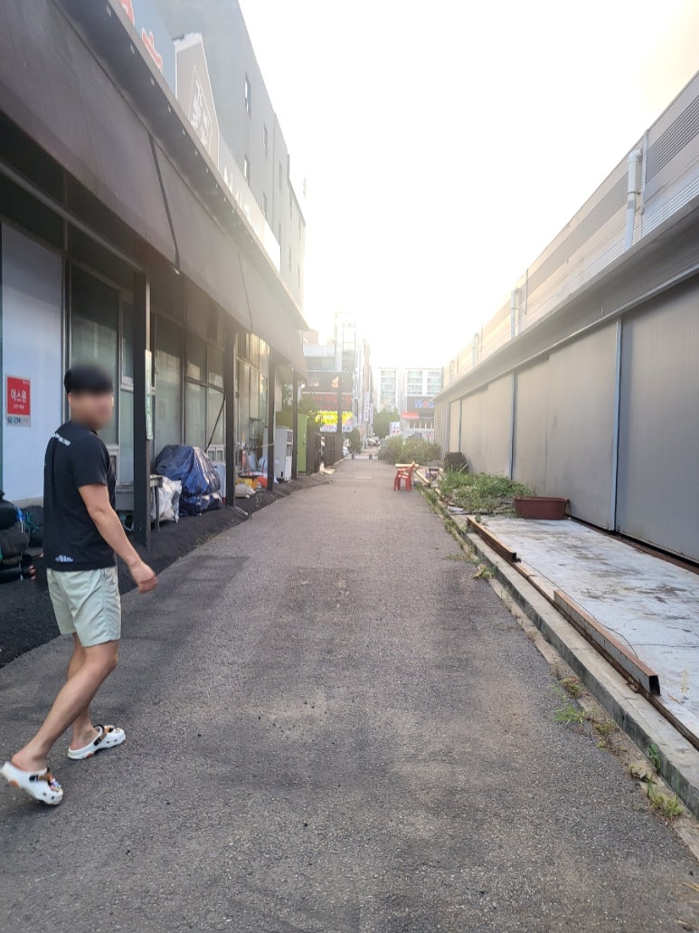 낙지와볼테기 이미지