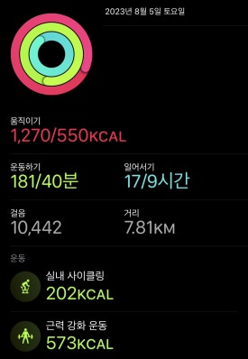 영차투어 이미지