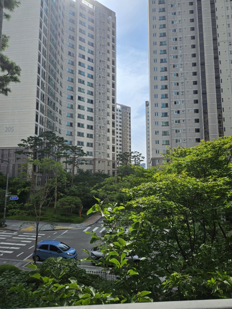 케이와이클린 이미지