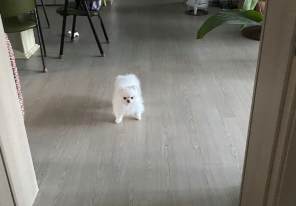 (주)콜드프레임 이미지