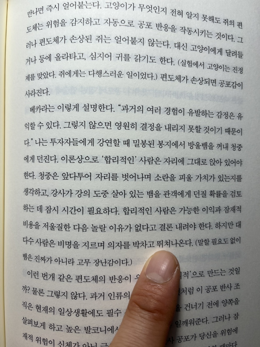앤드브레인 이미지