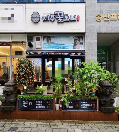제주꽃도니 이미지