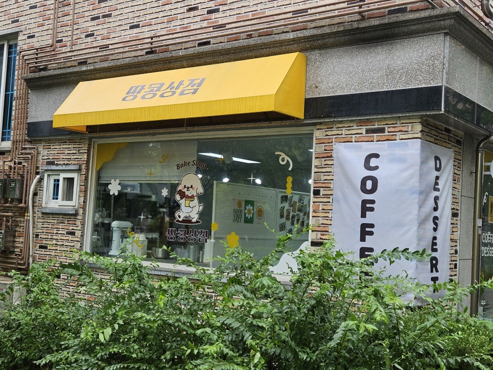 땅콩228 이미지