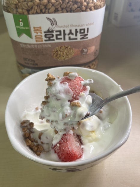 월드씨앗건강 이미지