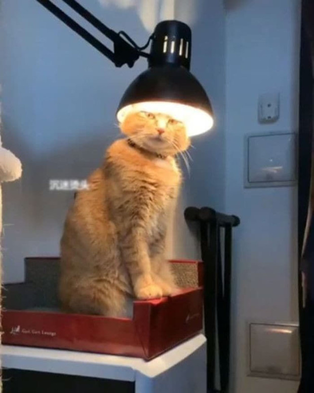 천수냉면 이미지