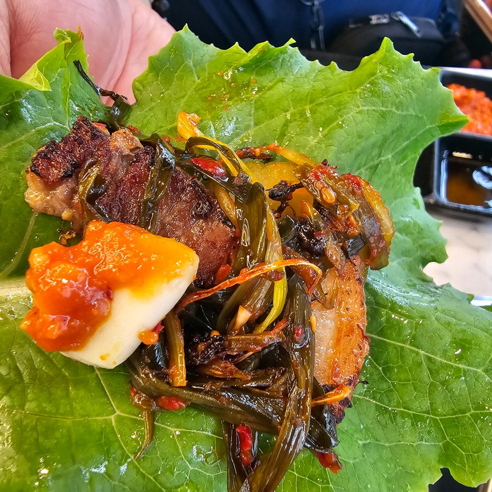 뱃살집 이미지