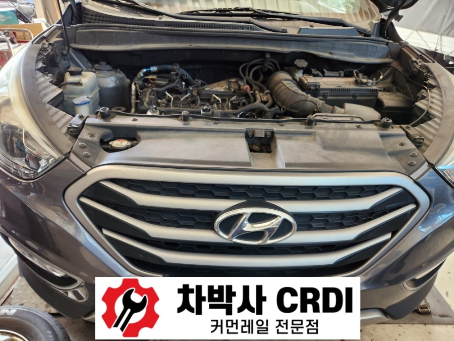 애니카랜드대저점 이미지