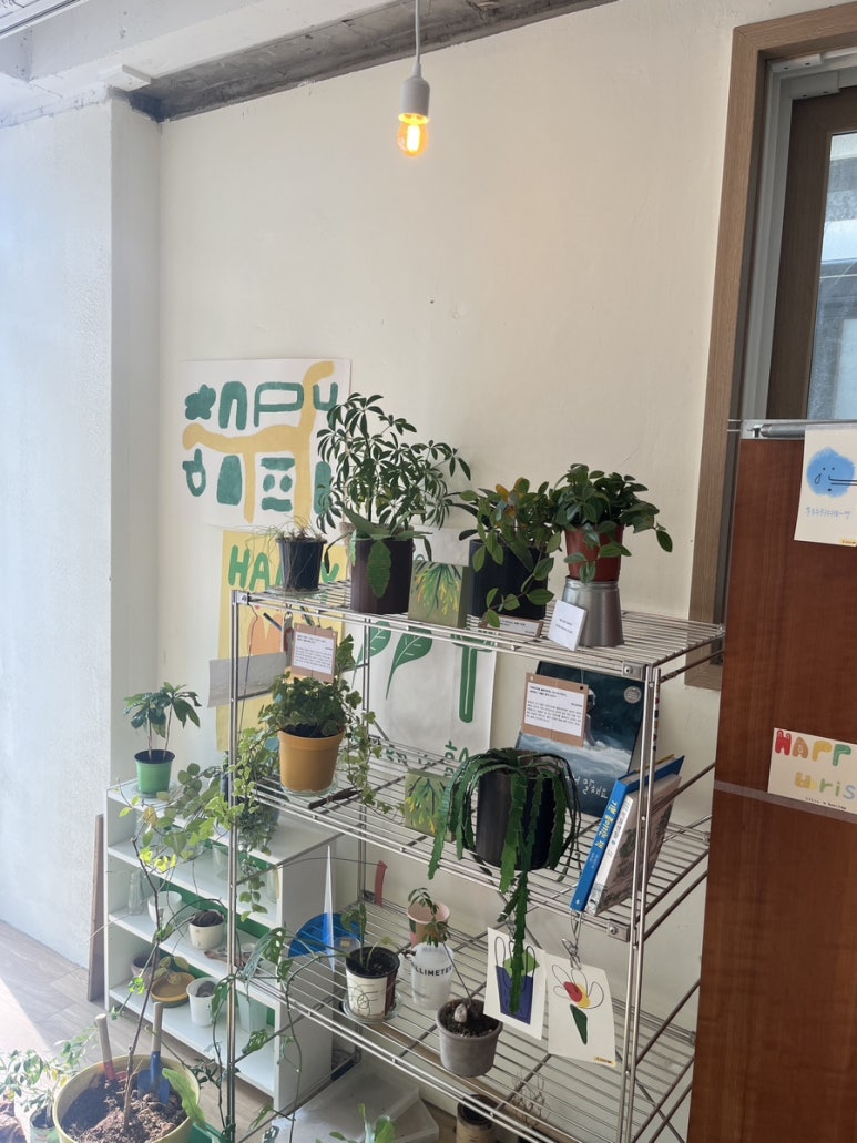 보리수카페 이미지