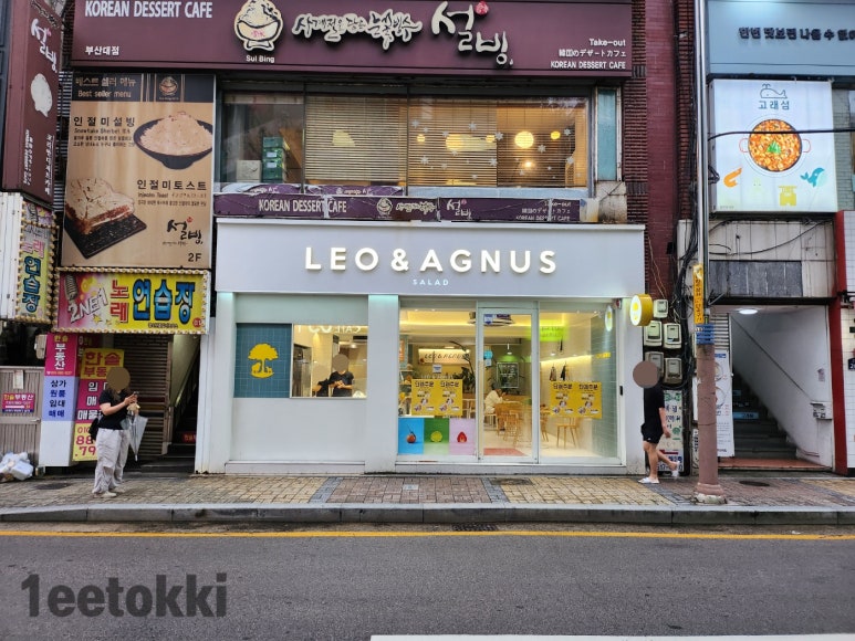 레오앤아그너스 이미지