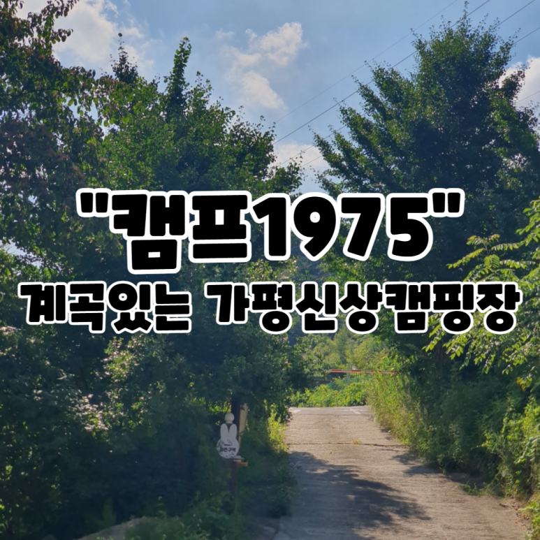 캠프1975 이미지