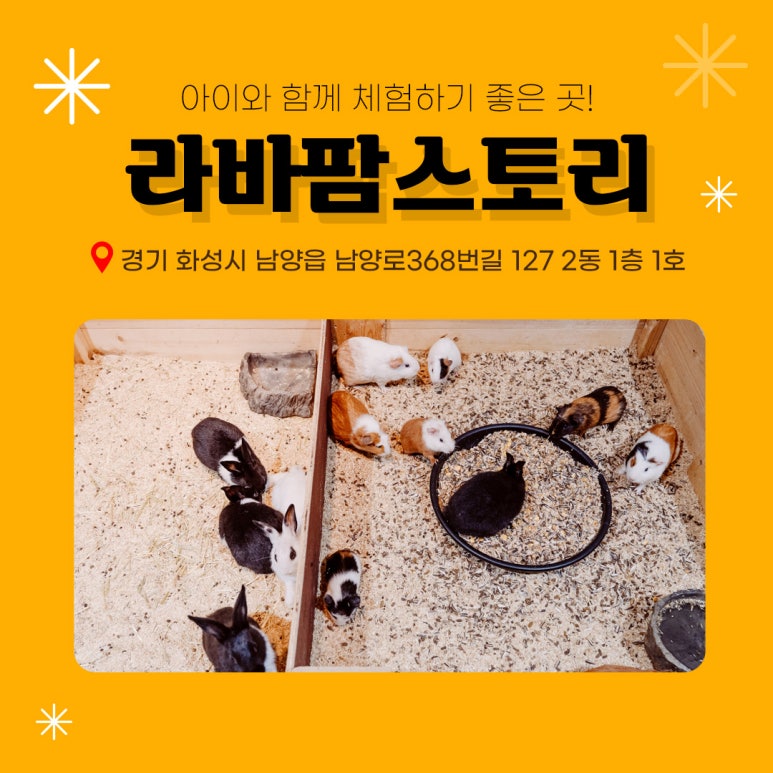 화성투어 이미지