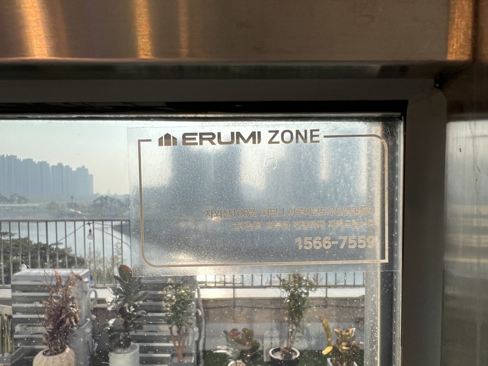 이루미(ERUMI) 이미지