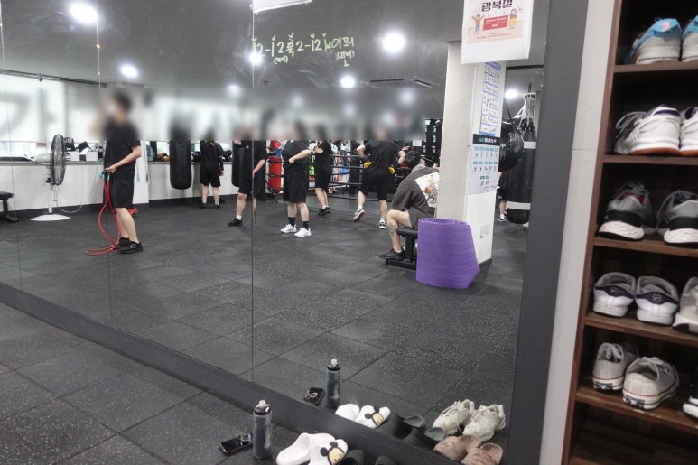 슈가복싱 이미지