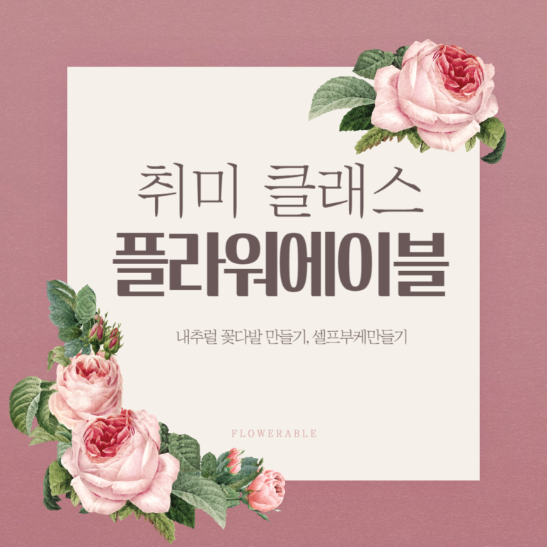 제로에이블 이미지