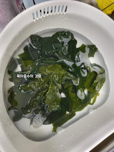 영심반찬 이미지