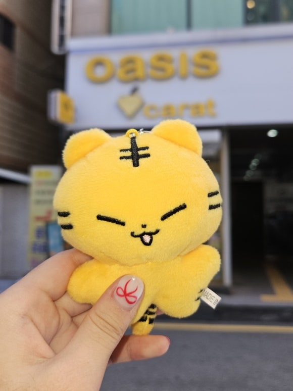 오아시스캐럿 이미지
