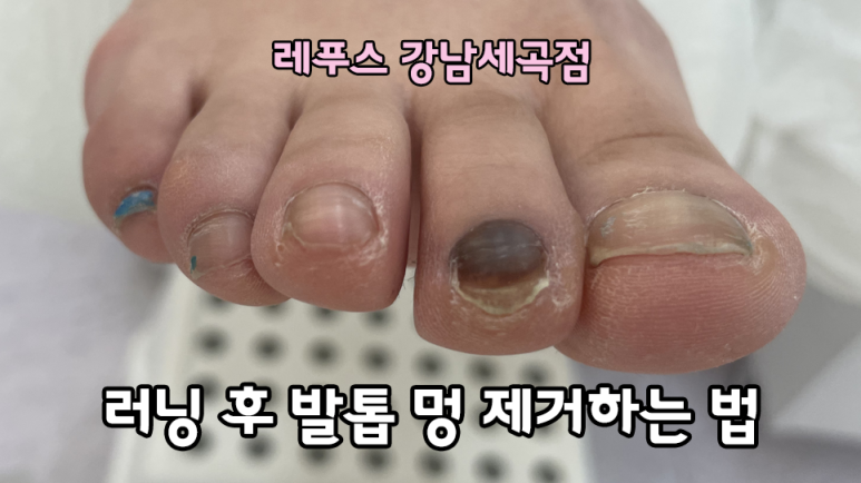 레푸스강남세곡점 이미지