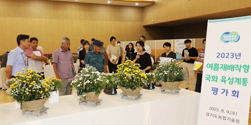 국화통신 이미지