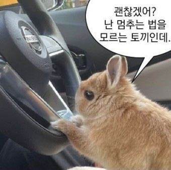 수원현대자동차운전전문학원 이미지
