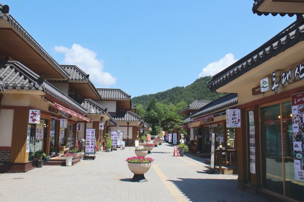 오대산달빛미소 이미지