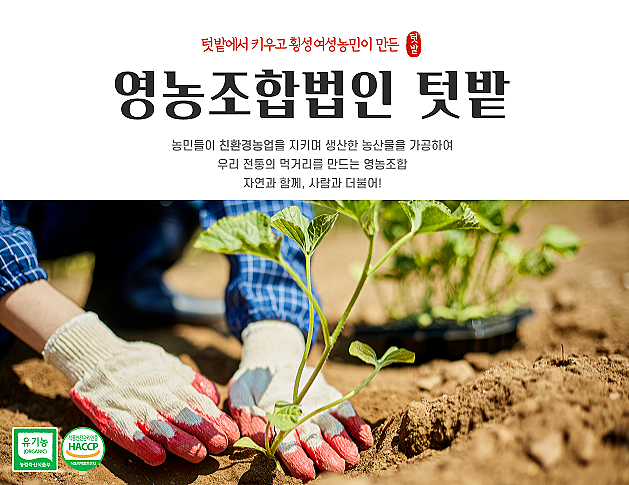 텃밭영농조합법인 이미지