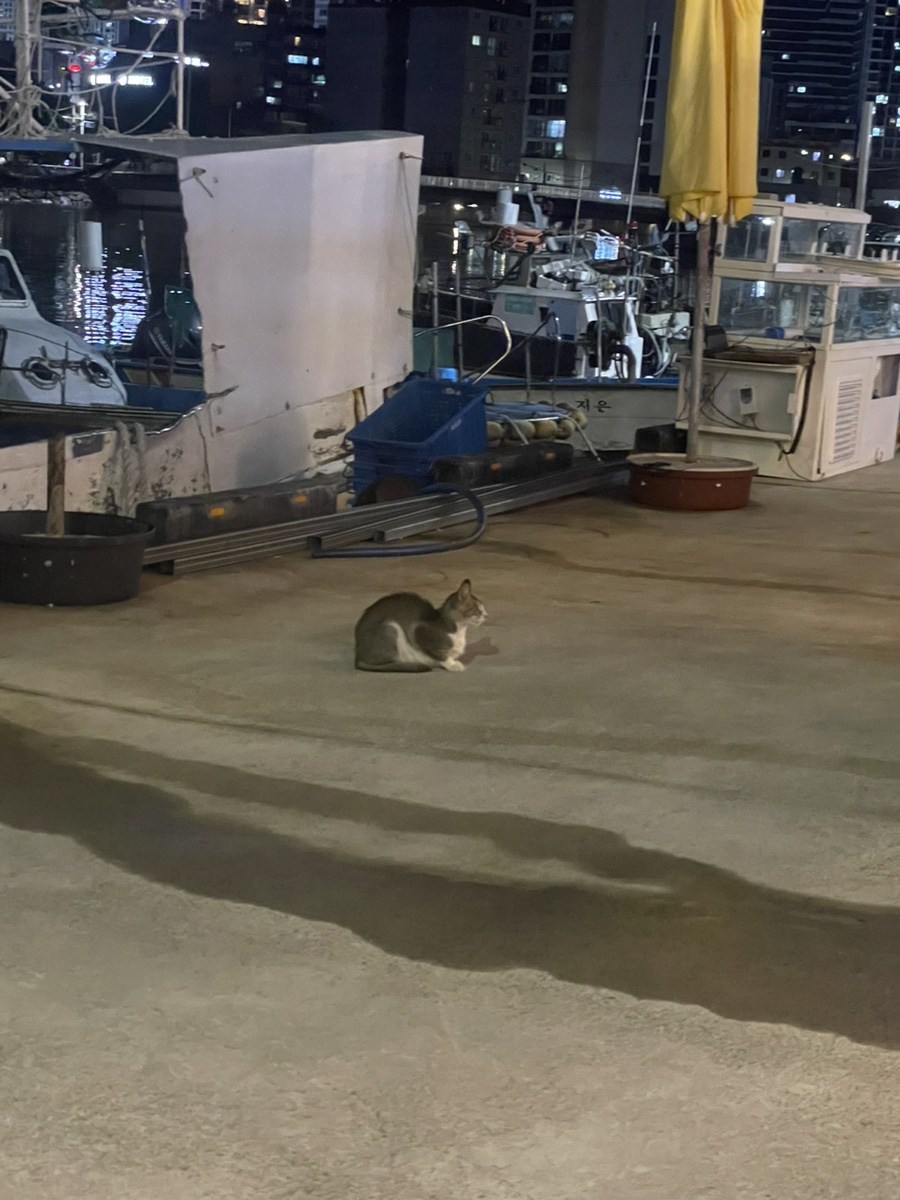 승리수산 이미지