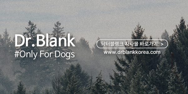 피피블랭크 이미지