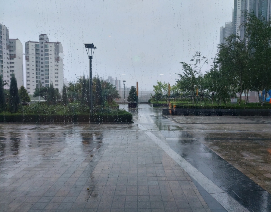 청춘김밥&토스트 이미지