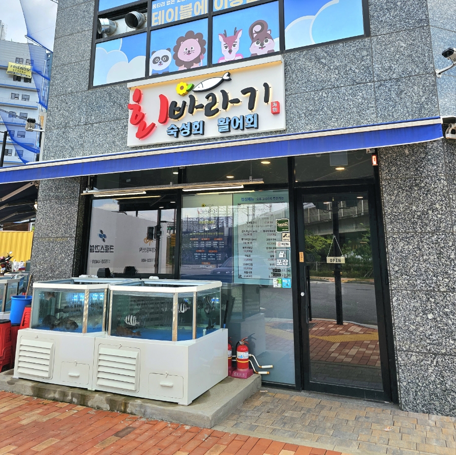 회바라기 이미지