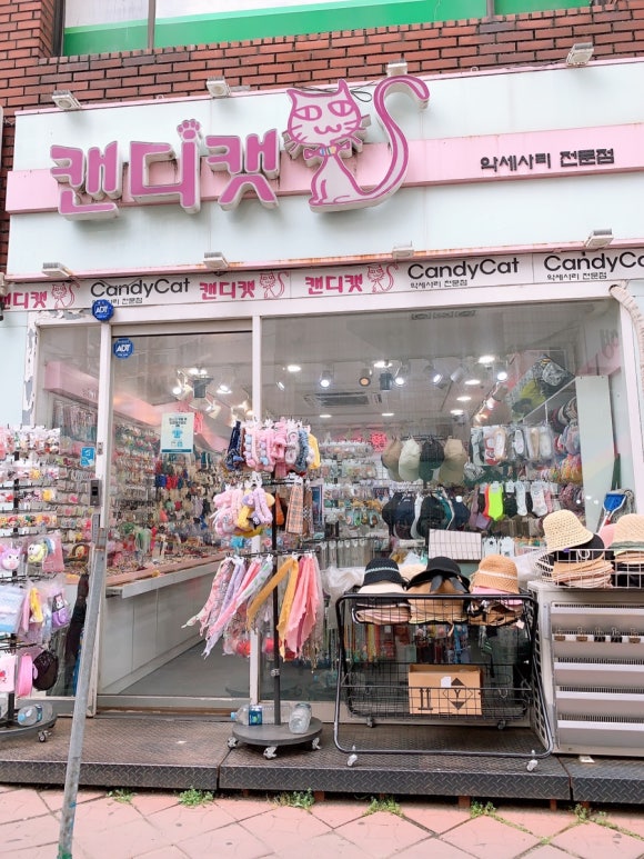 캔디캣 이미지