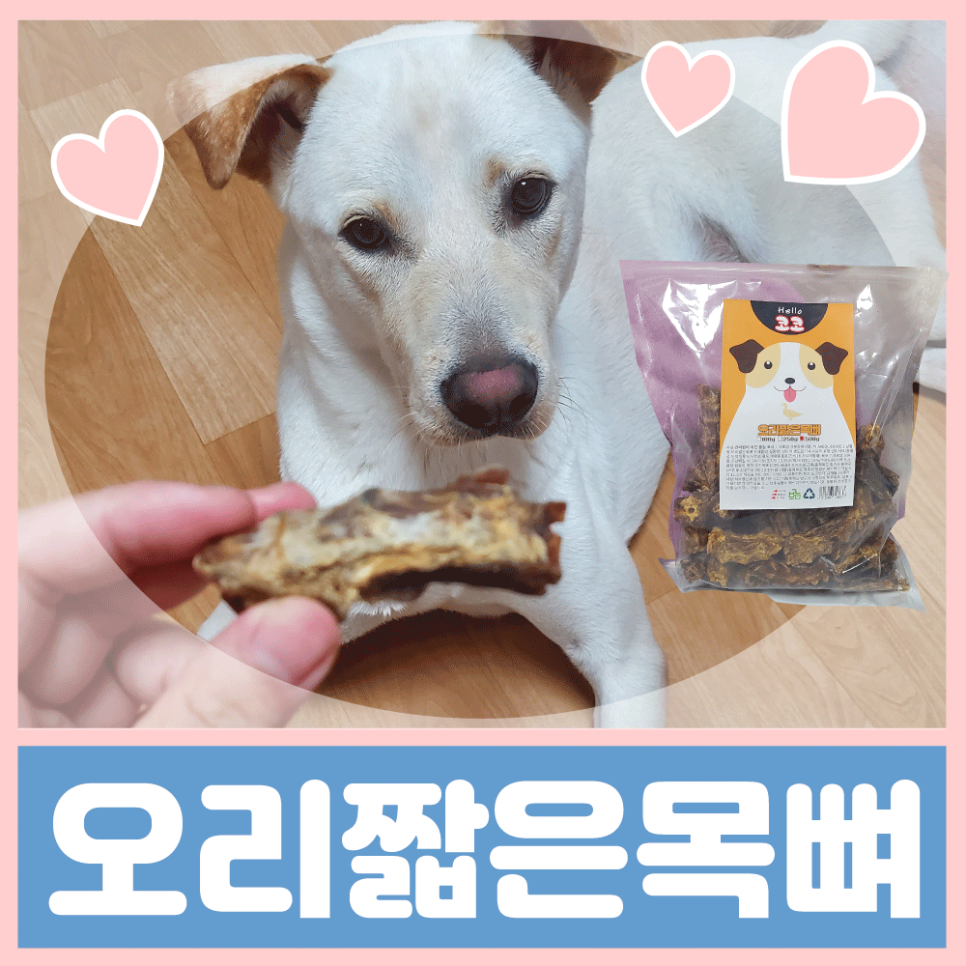 바름컴퍼니 이미지