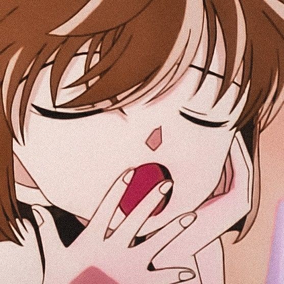 홍장미 이미지
