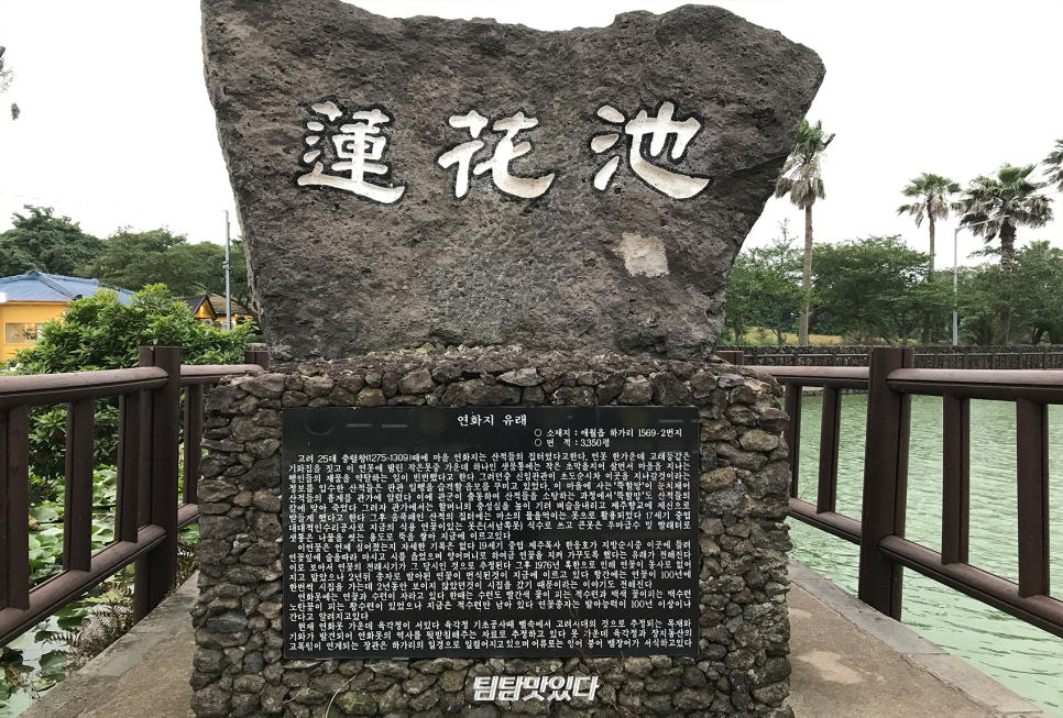 늘봄국수 이미지