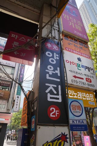 양원집 이미지