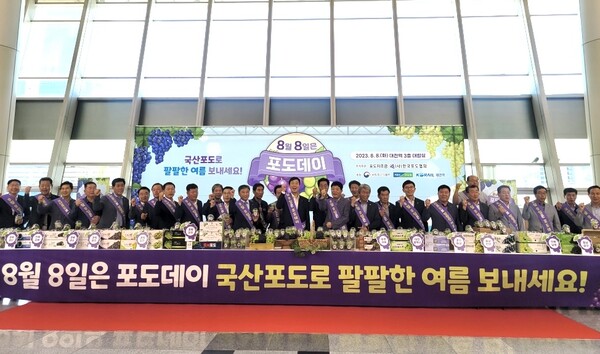 데이지주 이미지