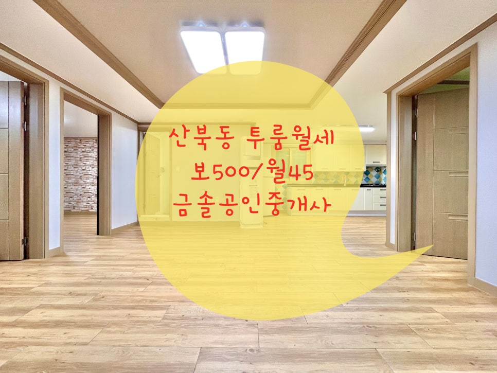 미성수선 이미지