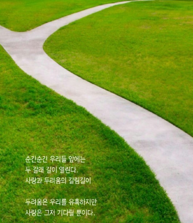 조은크린 이미지