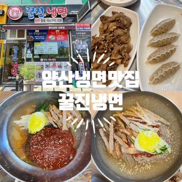꿀진냉면·밀면 이미지