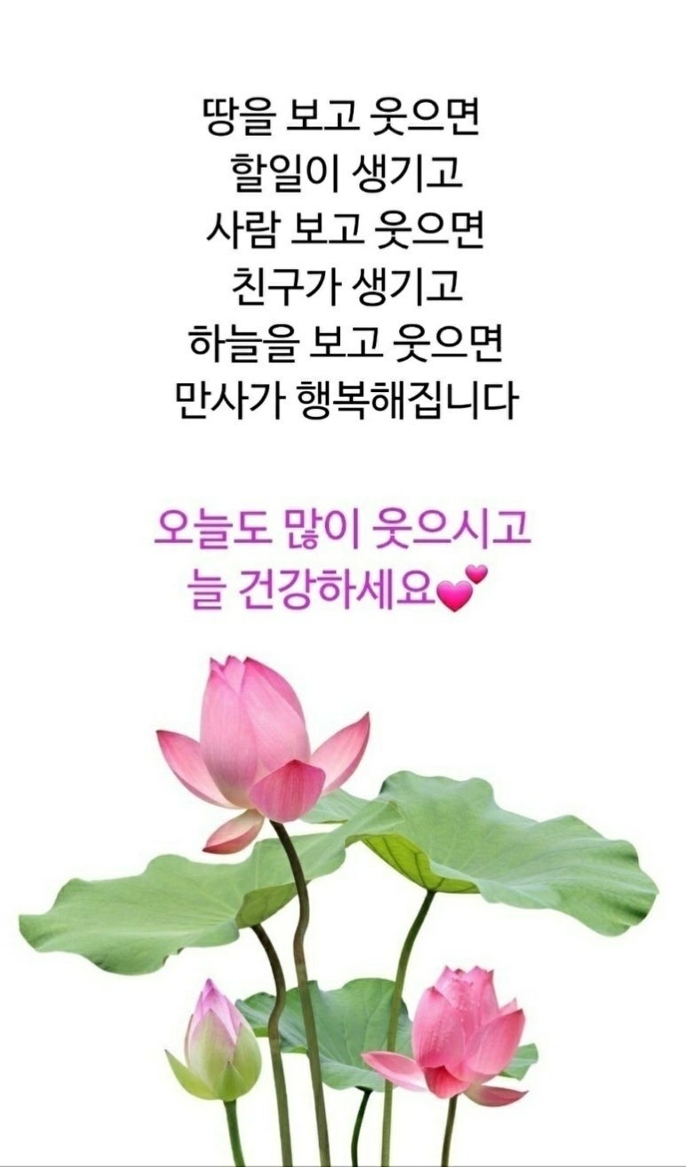 청춘인테리어 이미지