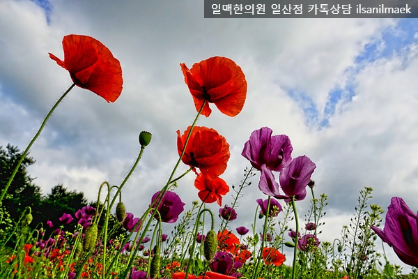 백석한의원 이미지