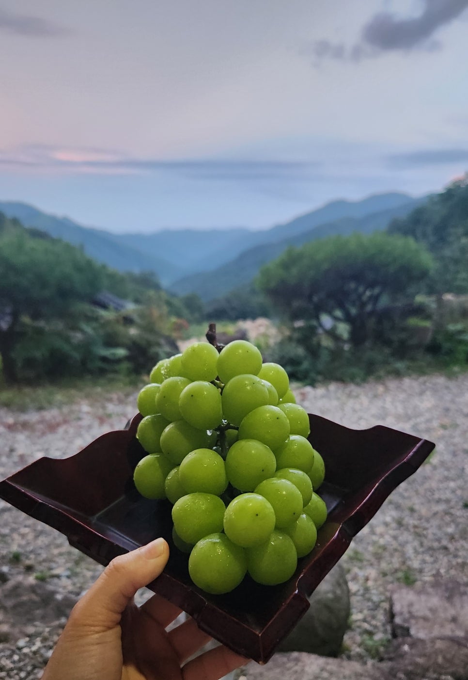 지리산청학재 이미지
