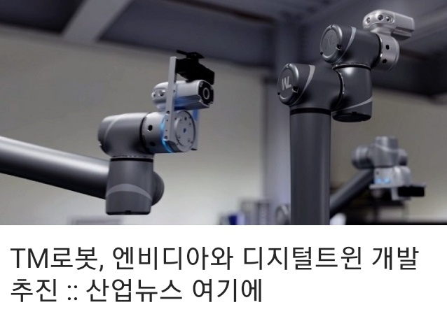 금양테크주 이미지