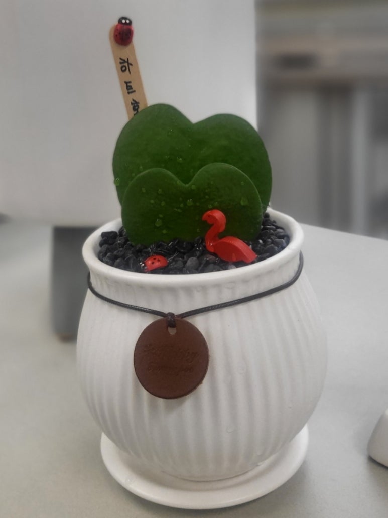 꽃.일상을품다 이미지