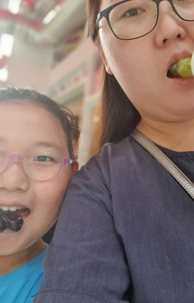 왕가탕후루파주금릉 이미지