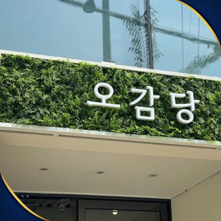 지피제이스튜디오 이미지