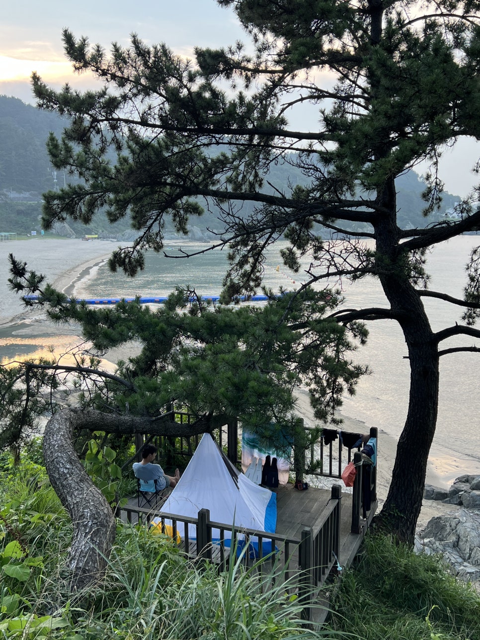 더차존이쉬 이미지