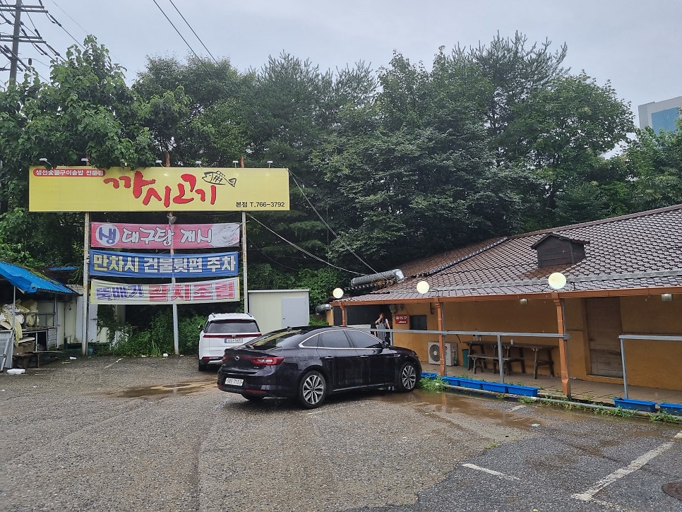 까시고기 이미지