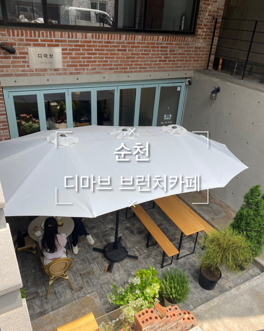 디마브 이미지