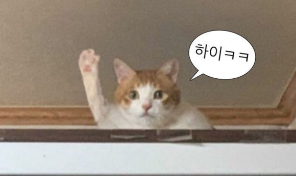비에이치씨대구 이미지